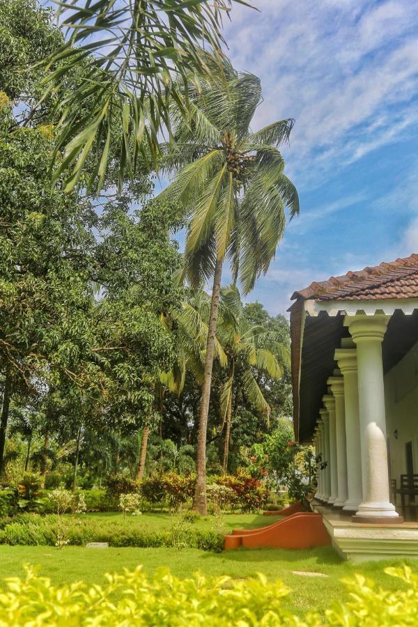 מלון Cansaulim The Postcard Cuelim, Goa מראה חיצוני תמונה